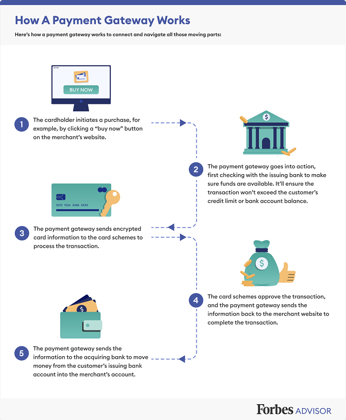 how-payment-gateway-works-inforgraphic
