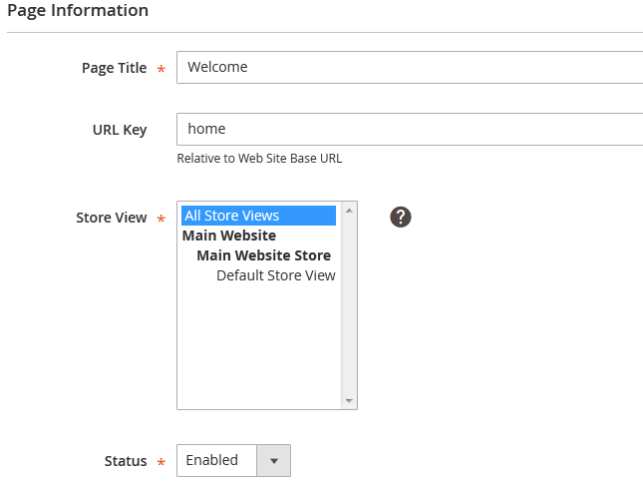 page information magento 2