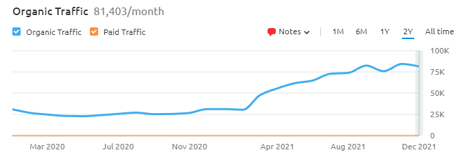 eCommerce SEO blog case study analytics