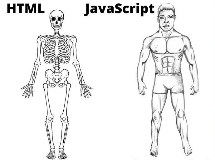 html vs javascript