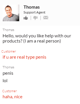 human chatbot