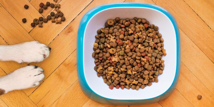 Pet food