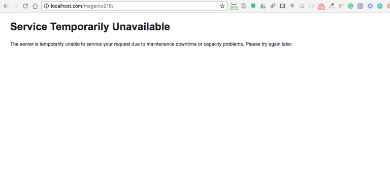 Magento service temporarily unavailable