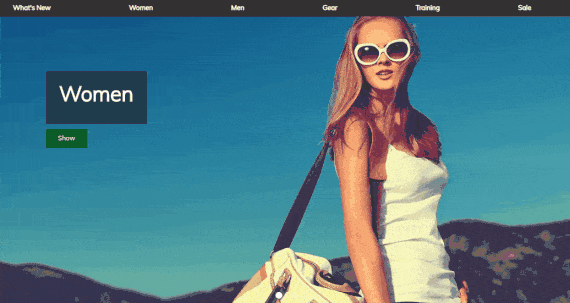 SimiCart Homepage Module: Banner Slider on desktop